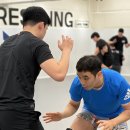 케이 레슬링 | 🌸봄, 운동 시작하기 가장 좋은 타이밍 (케이레슬링&amp;MMA체육관)