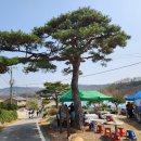 국화리마을 이미지