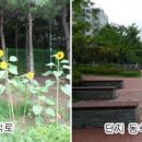 신반포로(북측) 네이버블로그