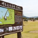 진도 고니류 도래지 이미지