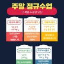 원어민일본어 심화 이미지