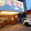 흥분돼지 이미지