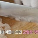 군령포하모자연산횟집