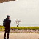 공인중개사사무소 보리 이미지