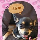 포포앤미루 강동점 이미지