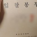 법원지물