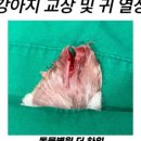 동물병원 더 하임 이미지