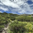 구로-구로-구로-2898 이미지