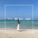 씨유 신서귀로점 | [뚜벅이 제주 살기] _ 5일차🍊