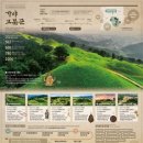 가야-7 연합뉴스