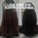 전주 신시가지미용실 [헤어아르떼] 프라이빗한 효자동미용실 염색 후기