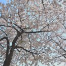 목동교 화장실 이미지