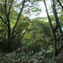 꿀벌체험장 이미지