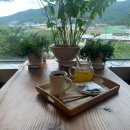솔마루커피 이미지