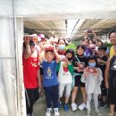 영인농장 이미지