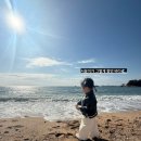 준오농장 이미지