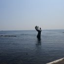 꾸스펜션 이미지