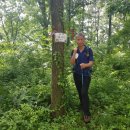 세종시 고려산(高麗山 307) 풍경 이미지