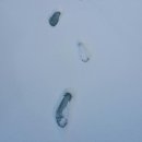 보은의집 이미지