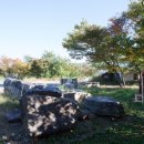 상동 지석묘군 이미지