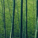 대호슈퍼 이미지