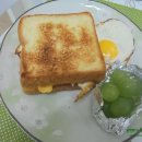 Green토스트 이미지