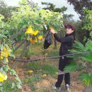 동욱농장 이미지