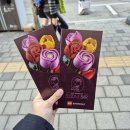 누누하우스 | 성수로 가족여행 갔다온 후기(팝업, 누누하우스, 하우스 노웨어)