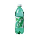 롯데칠성음료(주) 쇼핑하우