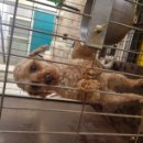 미성쉼터 이미지