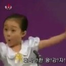 감자펫