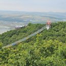 허궁다리 이미지