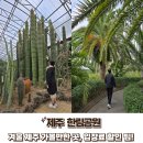 제주 한림 용암동굴지대 | 제주 한림공원 겨울 가볼만한곳 소요시간, 입장료 할인팁 두배로 즐기는법