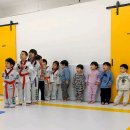 용인대청솔태권도 이미지