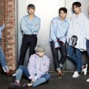 더헤일로