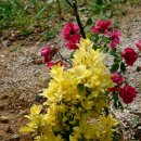 어구마을 이미지