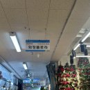화정플로라 이미지