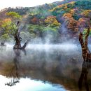 소요 1-19 청송 주산지(注山池) 정격 단시조/반산 한상철 이미지