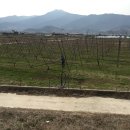 냉천목장 이미지