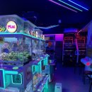 뽑기24시 이미지