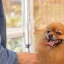 감자동물병원 이미지