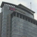 흥국생명 이미지