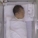 학수정데이케어센터 | 강동 퍼스트스마일 산후조리원 내돈내산 삼성프라임 연계