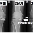 루가의원 이미지
