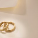 마루한꼬두람이 이미지