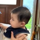 럭키웨더맨션 이미지