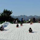 매현태권도 이미지