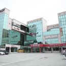 웨딩파티엘