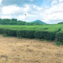 유원모텔 | 제주도 여행 가볼만한곳 여름 추천코스 관광명소 모음
