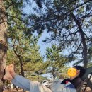 동산애견 이미지